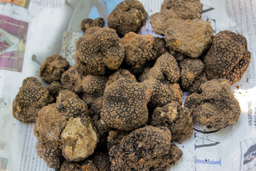 truffles