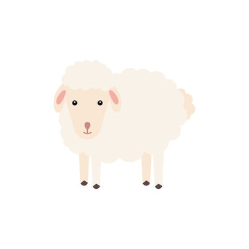 Sheep isolated on a white background vector illustration. Domestic animal. Print for nursery.