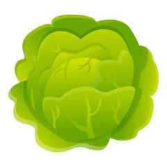 Vegetable cabbage icon. Cartoon of vegetable cabbage vector icon for web design isolated on white background