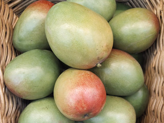 Mango Fruit at Farmers Market Farm Fresh Organic Produce in the Summer for Sale