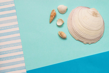 White seashells on the combined background from striped,blue and azure colors. Minimal summer flat lay concept.Copy space for mock up