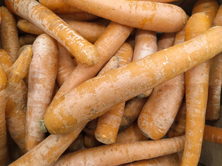 A lot of orange carrot at the market.