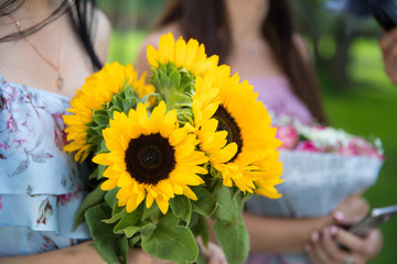 A beautiful bouquet of small sunflowers in the hands of a woman.