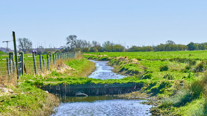 Fototapeta na wymiar Landscape. River, Stream. Hellevoetsluis. Holland. 