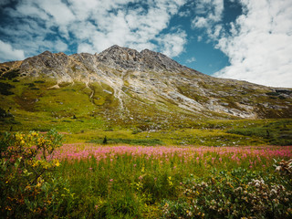 Scenic panoramic landscape in Upper Dewey Lake, Skagway, Amazing mountain views, turquoise water, lush trees and foliage, blue sky and epic mountain range in background.