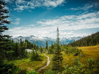 Scenic panoramic landscape in Upper Dewey Lake, Skagway, Amazing mountain views, turquoise water, lush trees and foliage, blue sky and epic mountain range in background.