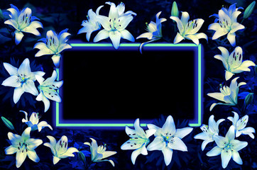 Full flower frame glow blue neon lilies on black background