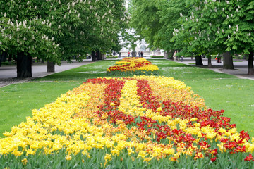 Carpet of flowers. Yellow and red tulips in the park.