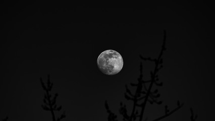 full moon in the night sky