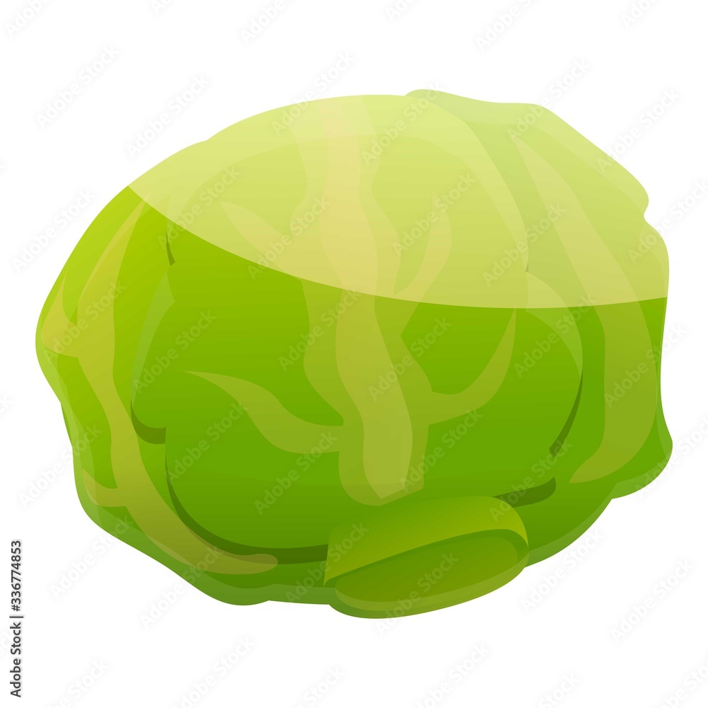 Aufkleber diet cabbage icon. cartoon of diet cabbage vector icon for web design isolated on white background