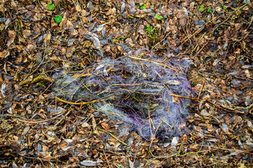 fishing net on the lake