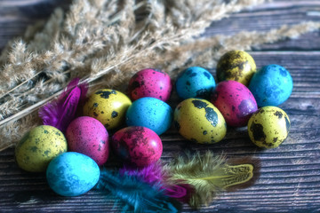 Colorful quail eggs are a symbol of the traditional Church holiday of Easter. 