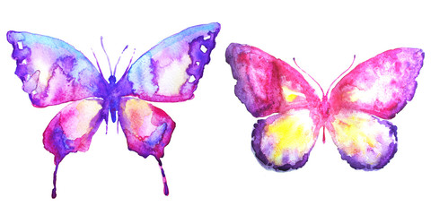 beautiful butterfly,watercolor, isolated on a white