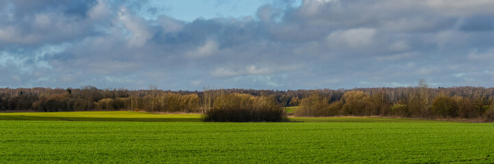 green meadow under blue sky on a clear sunny day