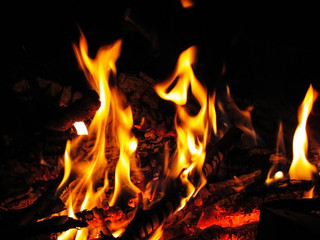 bonfire with branches at night in the forest. tongues of fire. flames of fire.  
night fire     