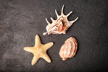 Obraz na płótnie Canvas Starfish and two shells close-up