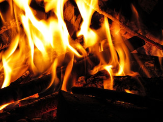 bonfire with branches at night in the forest. tongues of fire. flames of fire.  
night fire       