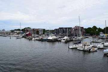 Fototapeta na wymiar Sailboats at the Docks in Annapolis, Maryland