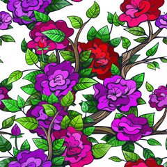 Vector Color Roses on White Background Seamless Pattern