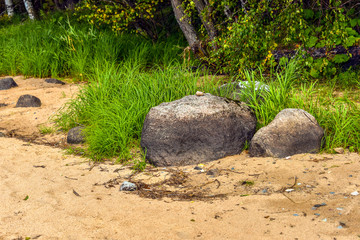 Stones on the river bank