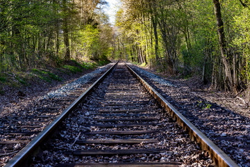 Schienen im Wald