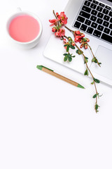 blooming notebook cup drink laptop office spring flowers apple branch pink white copy space