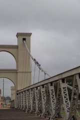 Waco suspension bridge and pigeons on cables, Texas
