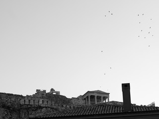 Birds flying over the Parthenon 