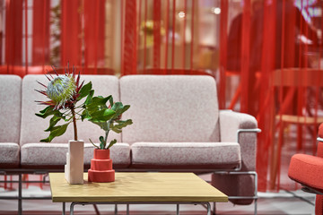 Luminous room with furniture and colorful curtains