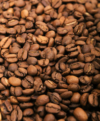 Coffee beans laid out on a white background surface