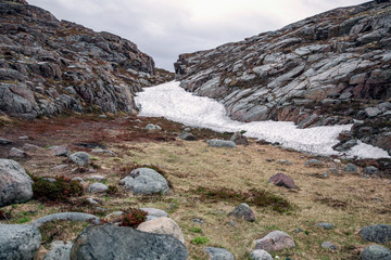 Summer in the north. The nature of the Arctic Circle.