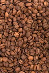 Coffee beans laid out on a white background surface