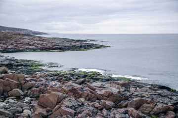 the coast of the sea