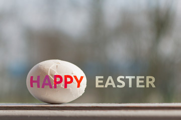 Chicken broken egg on the background of nature