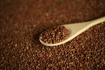 buckwheat in wooden spoon macro 