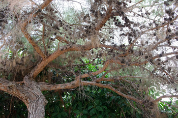 nature in Turkey in early autumn