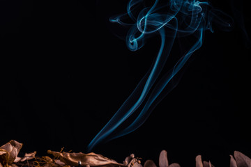 Stick holder and incense stick with leaves and flowers on black background