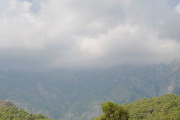 nature in Turkey in early autumn