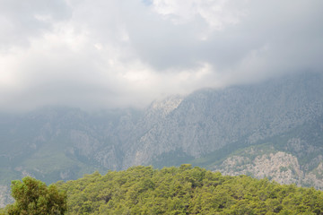 nature in Turkey in early autumn