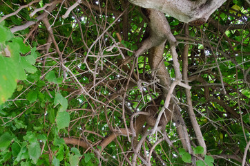 nature in Turkey in early autumn