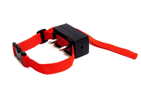 Red Collar With Electric Shock For A Dog Isolated