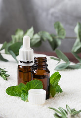 glass bottles with natural essential oils on a white towel with mint, rosemary and eucalyptus leaves