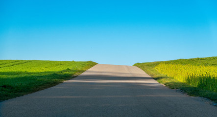Straße über Kuppe im Frühling
