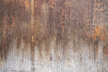 old gray wooden board with cracks and white mold. rough surface texture