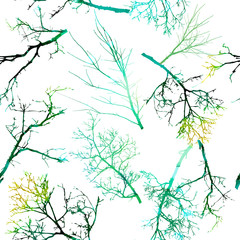 The seamless background is the silhouettes of the trees. Print tree branches. Mixed media. Vector illustration