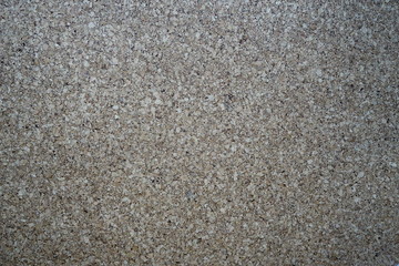 Cork tree texture for background