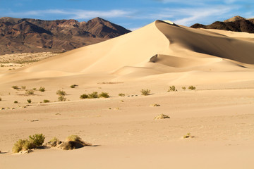 Fototapeta na wymiar sand dunes and mountains, death valley