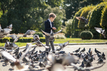 Stylish boy of 7 years in the park feeds pigeons. There are a lot of birds. Baby happy feed hungry pigeons