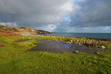 The coast path near cove rack cornwall england uk 