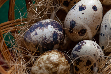 Fresh organic quail eggs in wicker basket. Diet product. Organic food. Homemade quail eggs close up view. Easter. Protein and Healthy diet.
